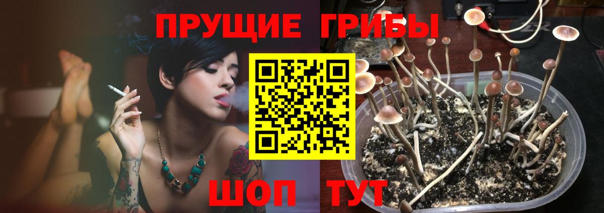 A PVP СК   Клин  Вход с VPN  МЕФ кристаллы  КОКАИН  Гашиш 