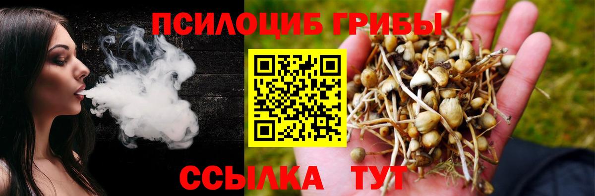 Галлюциногенные грибы Magic Shrooms Клин
